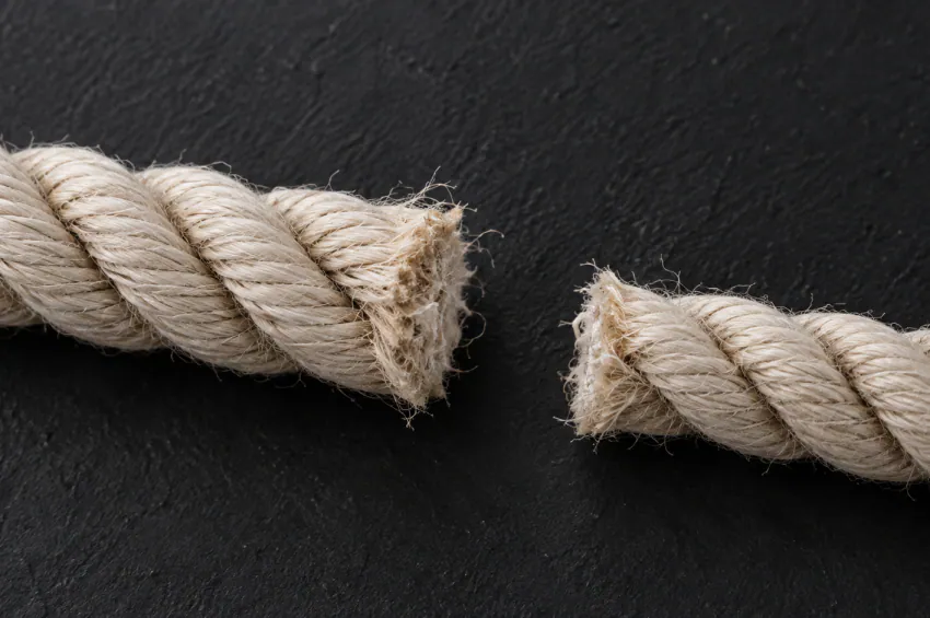 Family Member Salary Add-Back: The EBITDA Test