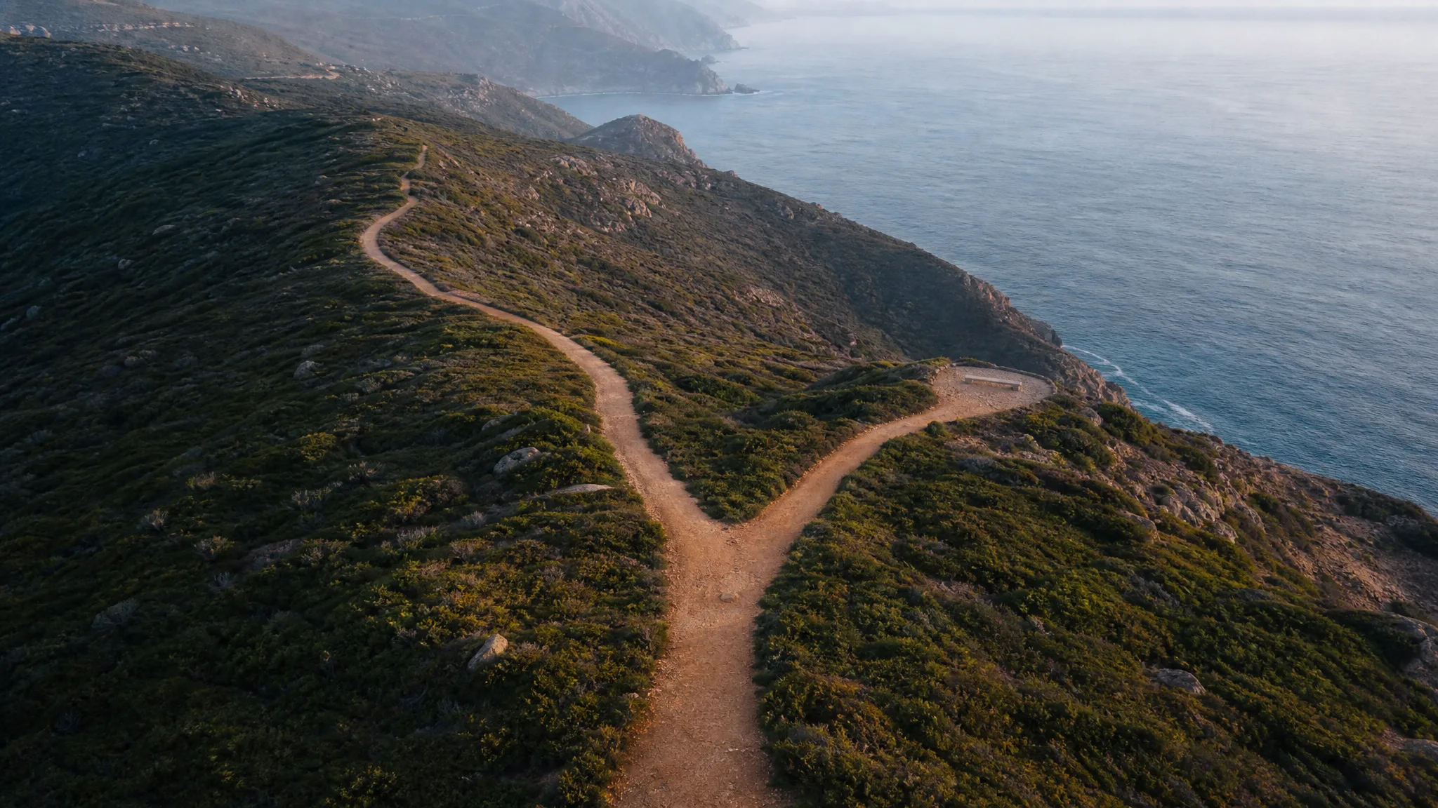 Aerial view of a path splitting into two routes, representing a SaaS founder choosing between majority recap and full sale