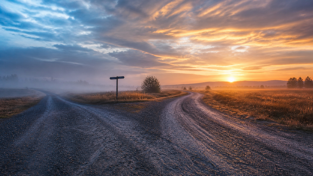 A dirt road forking into two paths at dawn, one lit by the sun and one in mist, a metaphor for choosing between an acquisition offer and a VC round