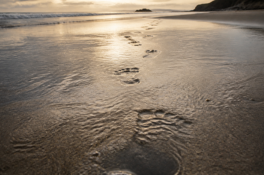 Customer Success Dependency in a SaaS Sale