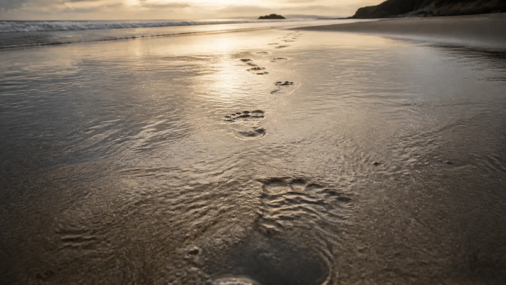 A single line of footprints across wet sand filling with water, a visual for customer success dependency where the knowledge one person carries disappears when they leave